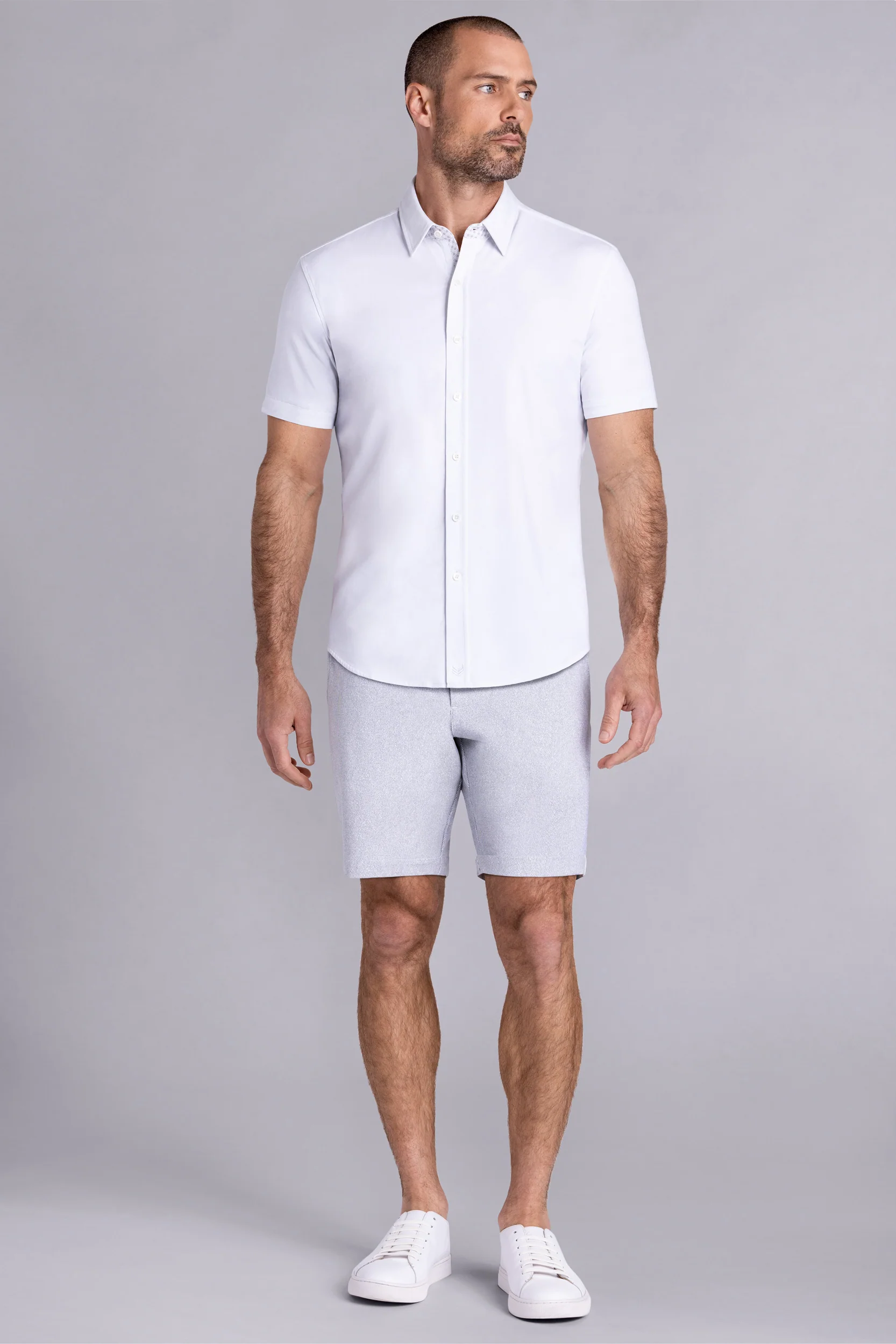 Established In White - Image 5