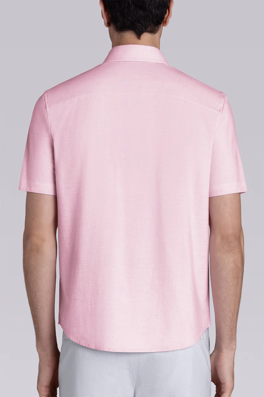 Legend In English Rose - Image 4
